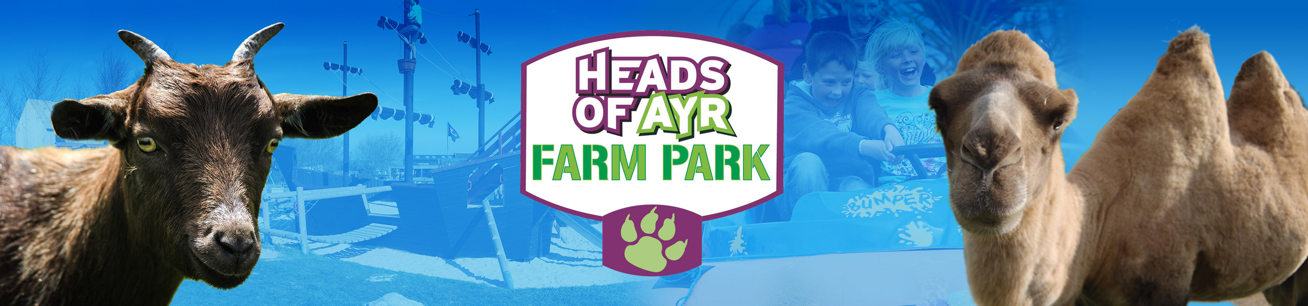 Heads of Ayr Farm Park logo with alpaca and pygmy goat in foreground